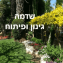 שדמה גינון ופיתוח לא מבצע אחזקות